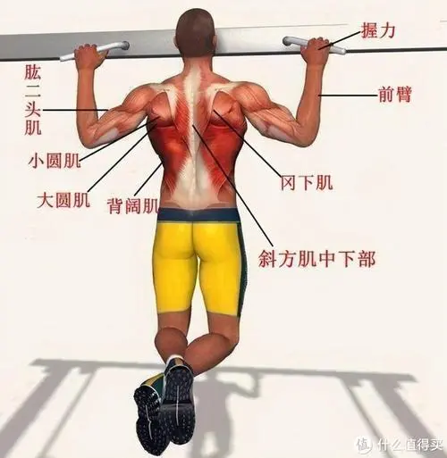 室內(nèi)門口健身撐桿怎么拆卸 室內(nèi)門口健身撐桿怎么拆卸